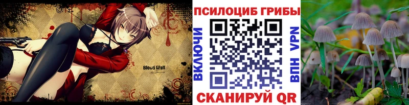 Псилоцибиновые грибы прущие грибы  ссылка на мегу как зайти  Макушино 